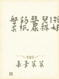 哪的婴儿l号棉柔纸尿裤好