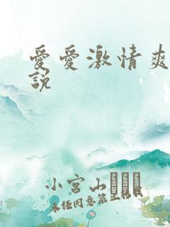 爱爱激情爽文小说