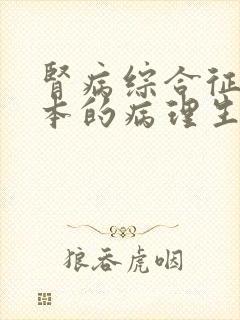 肾病综合征最根本的病理生理改变是