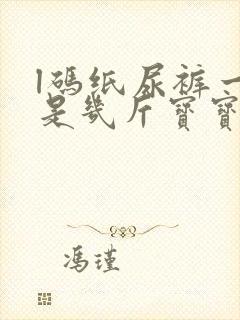 l码纸尿裤一般是几斤宝宝穿