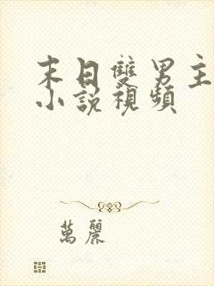 末日双男主病娇小说视频