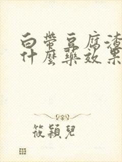 白带豆腐渣状用什么药效果好