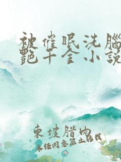 被催眠洗脑的冷艳千金小说书评