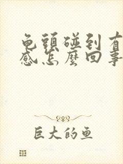 龟头碰到有刺痛感怎么回事