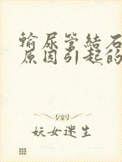 输尿管结石是啥原因引起的