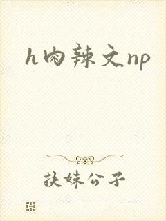 h肉辣文np