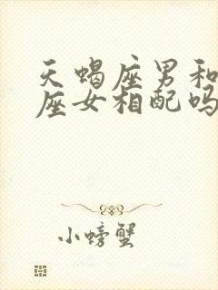 天蝎座男和处女座女相配吗指数