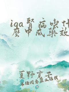 iga肾病吃什么中成药效果好