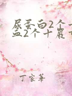 尿蛋白2个十隐血2个十严重吗