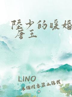 陆少的暖婚新妻 唐玉