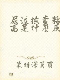 尿液检查粘液丝高是什么原因