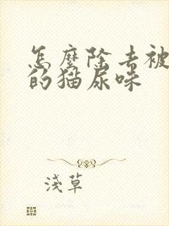 怎么除去被子上的猫尿味