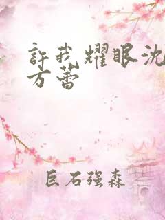 许我耀眼沈皓明方蕾