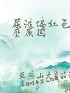 尿液偏红色是什么原因