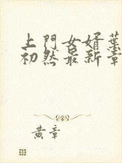 上门女婿叶辰萧初然最新章节免费阅读书