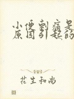 小便刺痛是什么原因引起的男性