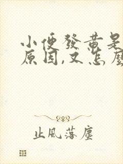 小便发黄是什么原因,又怎么解决?