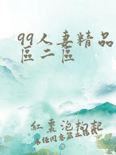 99人妻精品一区二区