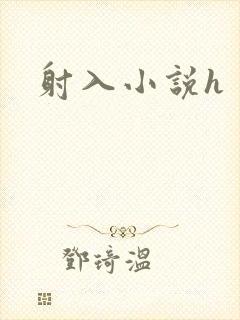 射入小说h