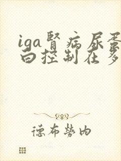 iga肾病尿蛋白控制在多少以下才安全