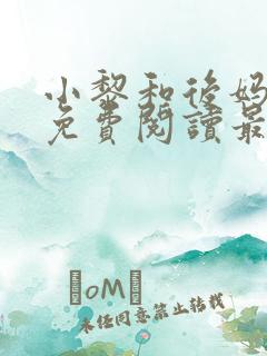 小黎和后妈小说免费阅读最新章节