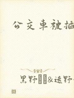 公交车被插高潮