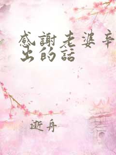 感谢老婆辛苦付出的话