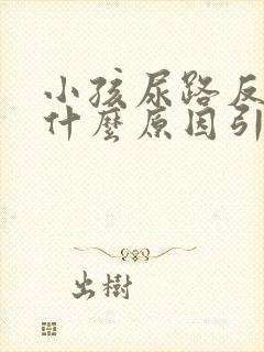 小孩尿路反流是什么原因引起