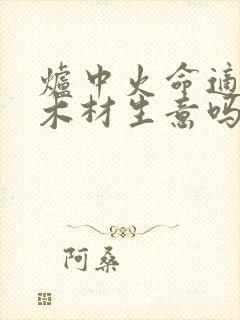 炉中火命适合做木材生意吗