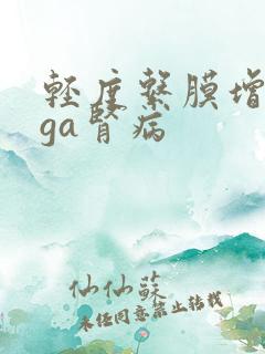 轻度系膜增生iga肾病