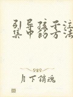 引导孩子注意力集中的方法