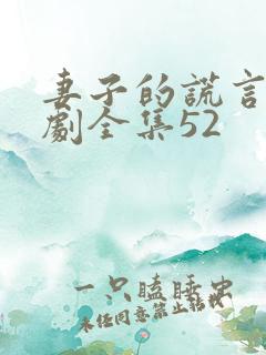 妻子的谎言电视剧全集52