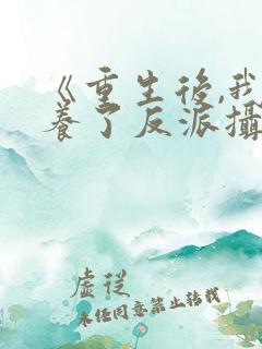 《重生后,我娇养了反派摄政王》