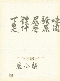 下体尿骚味很重是什么原因