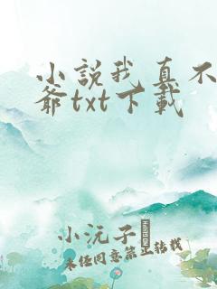 小说我真不是法爷txt下载