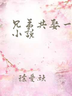 兄弟共娶一妻的小说