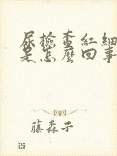 尿检查红细胞高是怎么回事