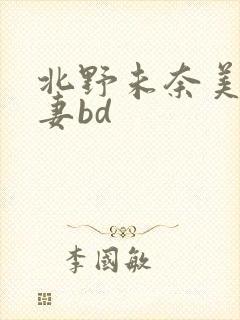 北野未奈美貌人妻bd