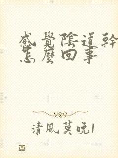 感觉阴道干涩疼怎么回事