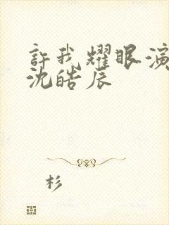 许我耀眼演员表沈皓辰