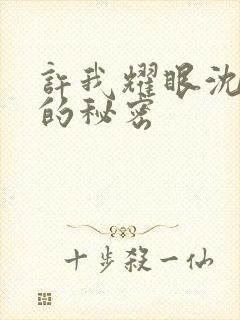 许我耀眼沈皓明的秘密