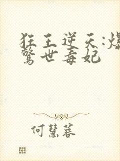 狂王逆天:爆宠惊世毒妃