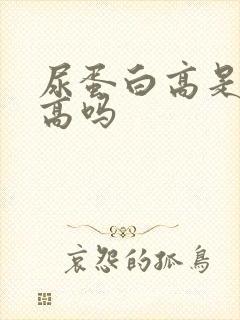 尿蛋白高是尿酸高吗