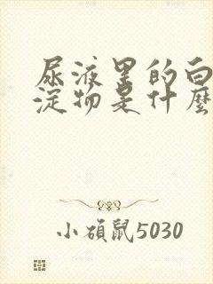 尿液里的白色沉淀物是什么