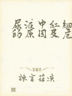 尿液中红细胞高的原因及危害