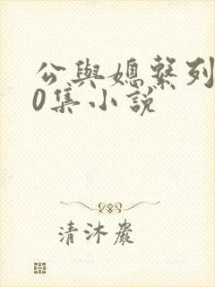 公与媳系列100集小说