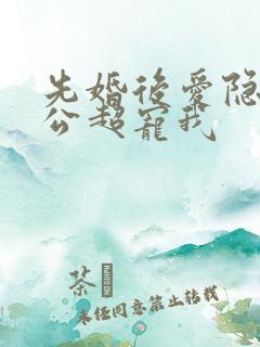 先婚后爱隐婚老公超宠我