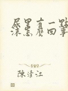 尿里有一点小泡沫怎么回事