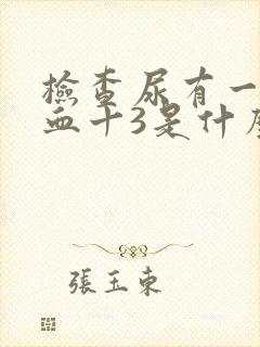 检查尿有一项隐血十3是什么意思?