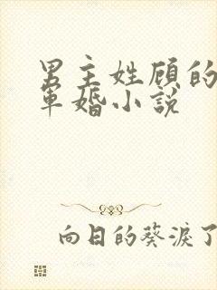 男主姓顾的所有军婚小说